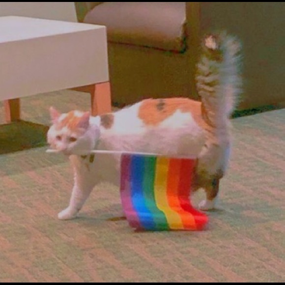 gaymickey_3010